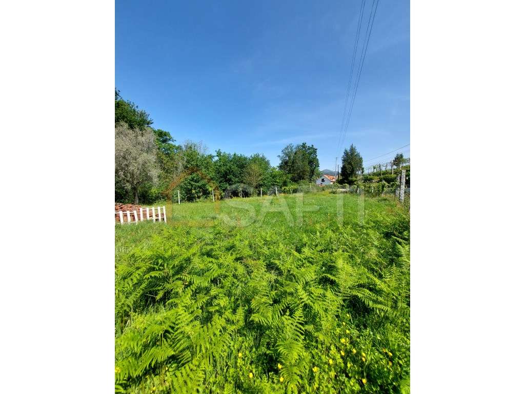 TERRENO - Grande imagem: 4/7