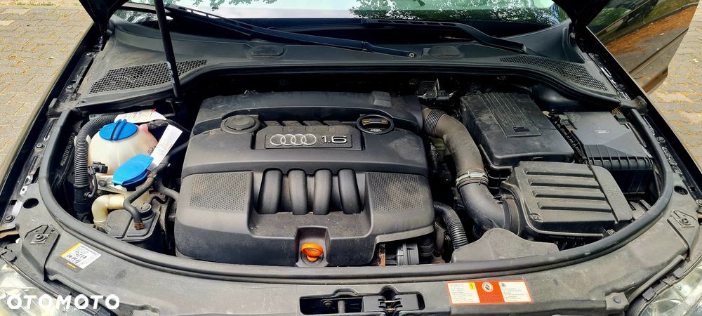 Audi A3 3-drzwiowe 1.6 Ambition - 18