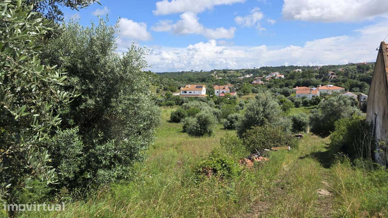 Excelente Terreno para Moradia a 5 kms de Tomar - Grande imagem: 4/35