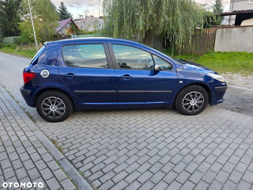 Peugeot 307 - 4