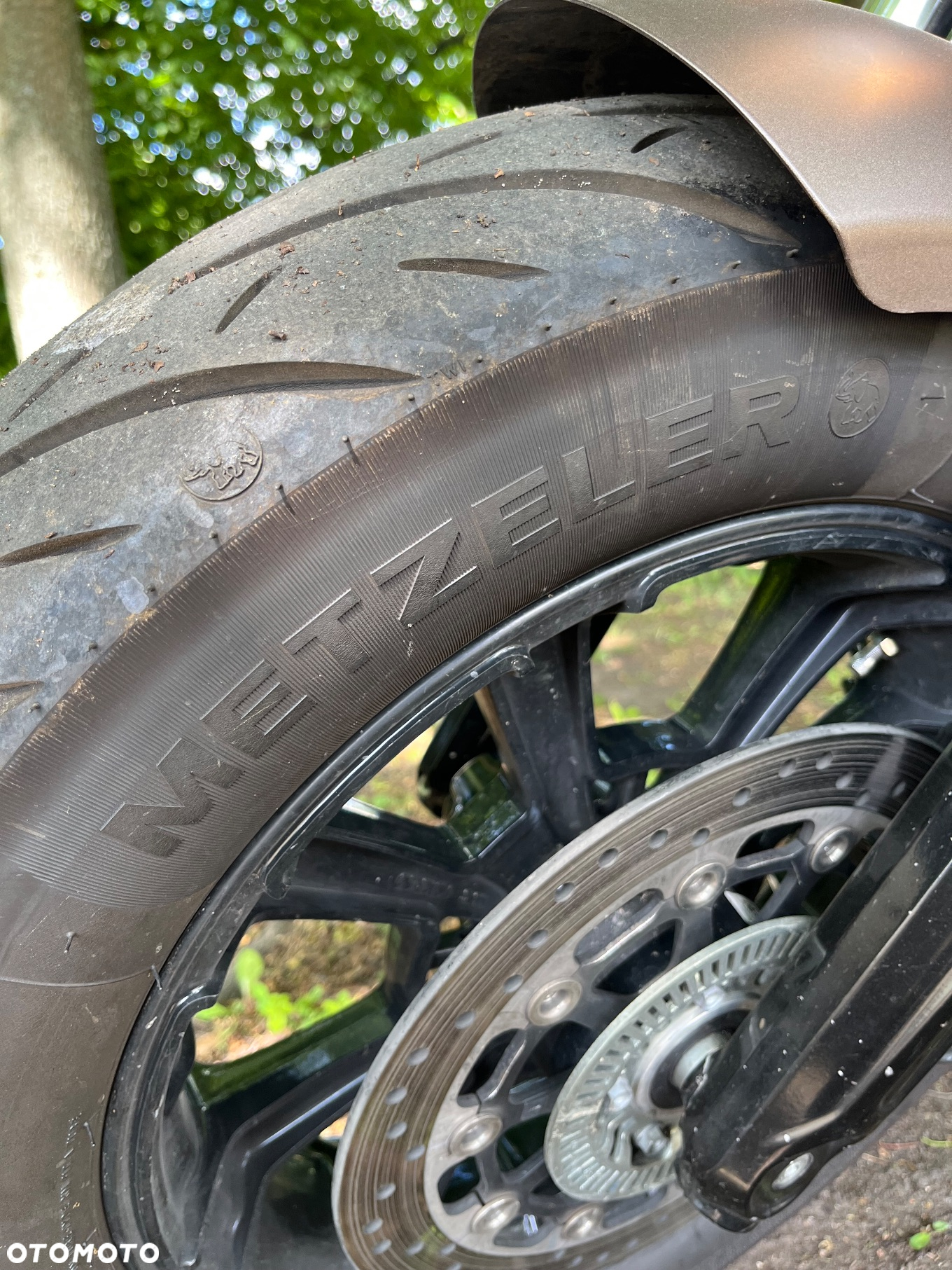 Indian Scout - 14