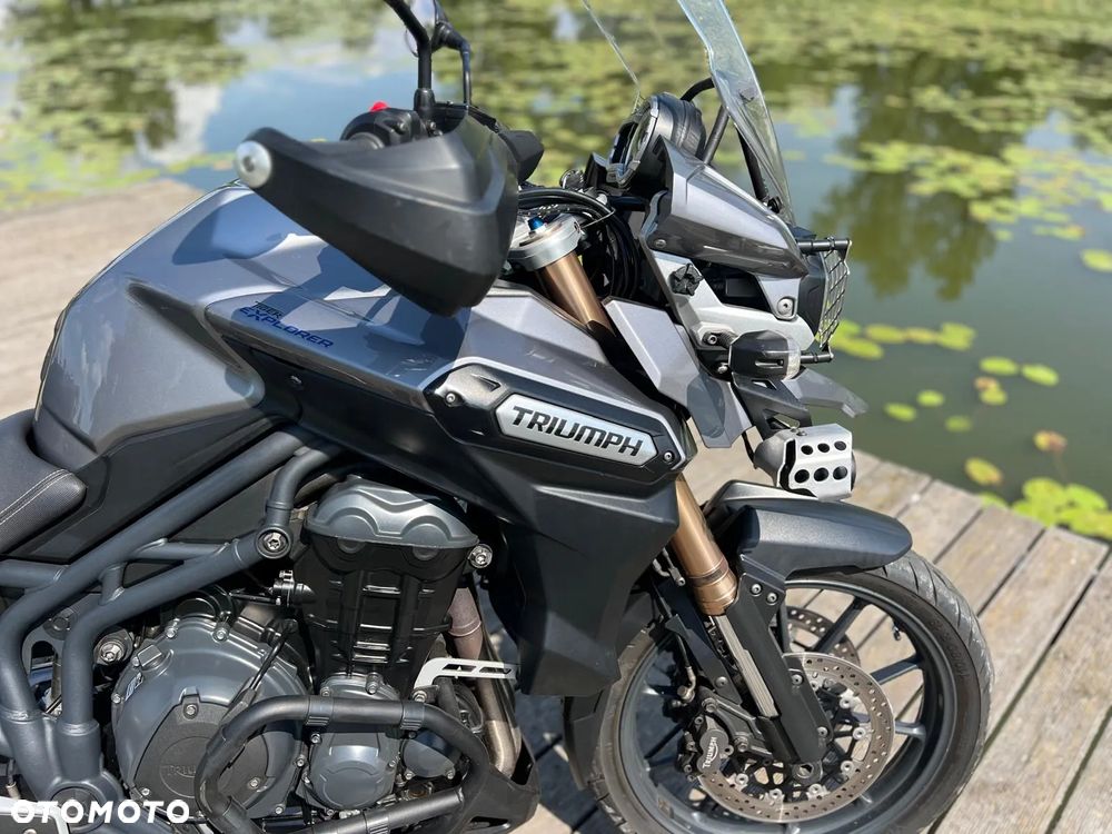 Triumph Tiger - 13