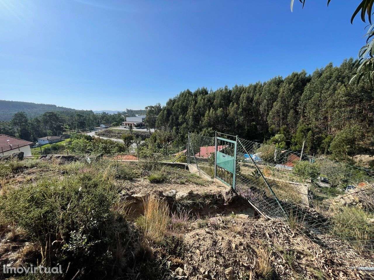 Terreno Localizado em Varziela - 75 000m2 - Grande imagem: 5/12
