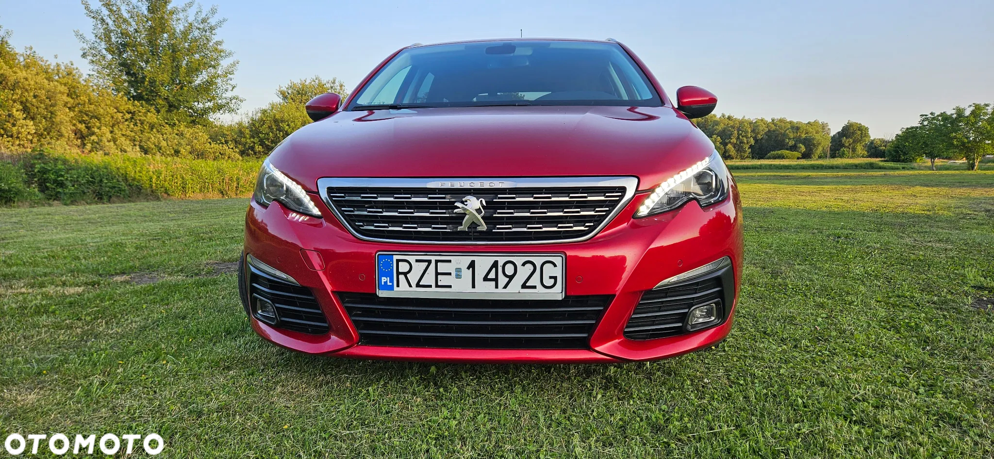 Peugeot 308 1.2 PureTech Allure S&S - 6