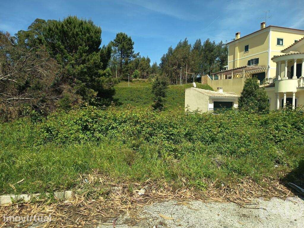 Terreno para construção em Rio Maior - Grande imagem: 4/23