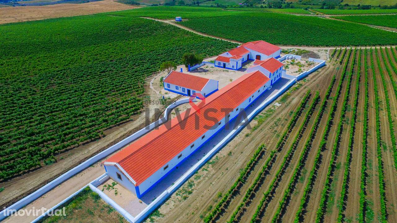 Quinta Vitivinícola com 36 hectares. - Grande imagem: 2/25