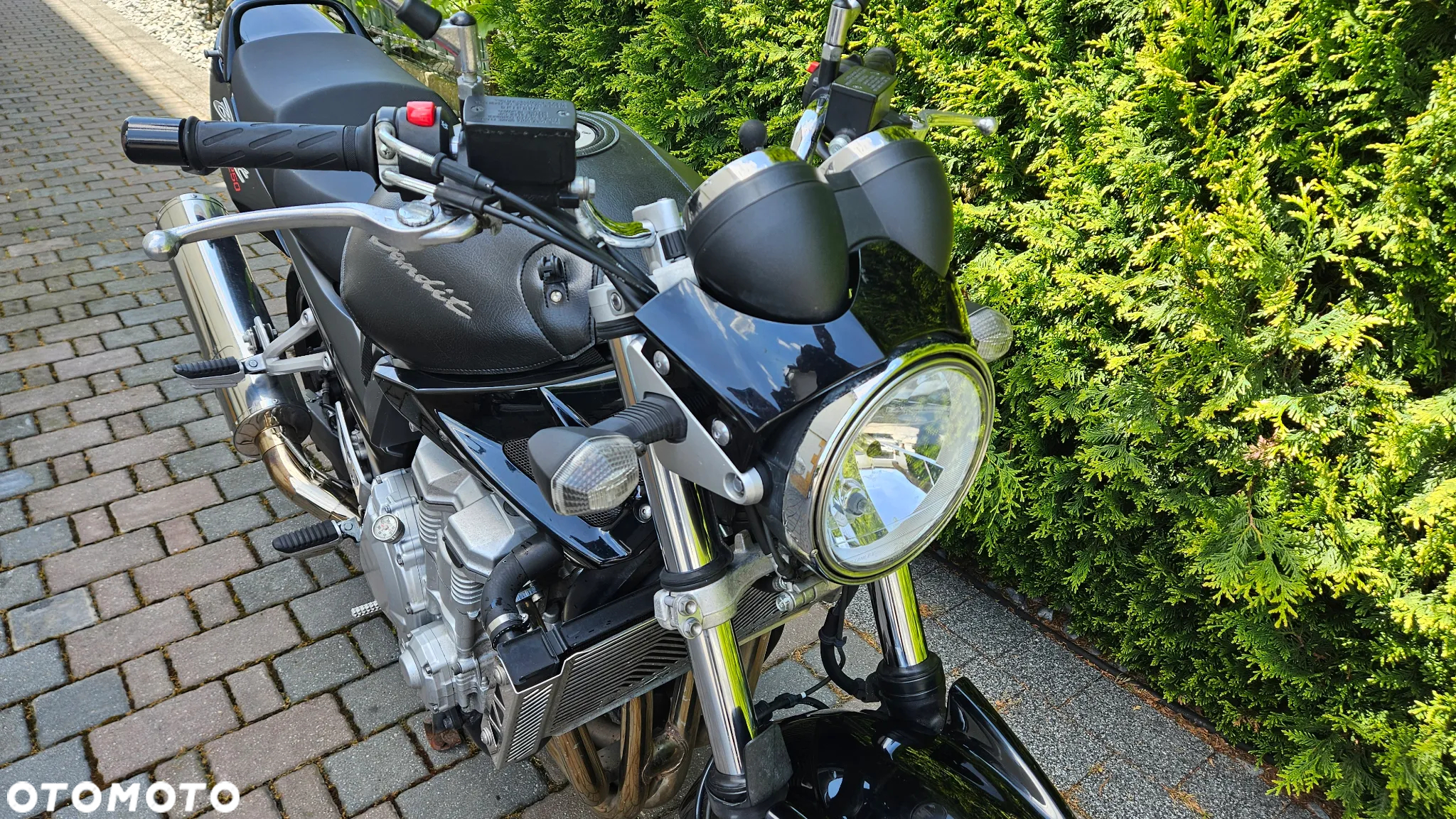 Suzuki Bandit - 11