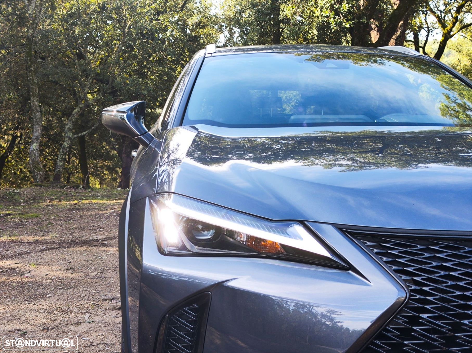 Lexus UX 250h Sport (Ecrã 12.3) - 18