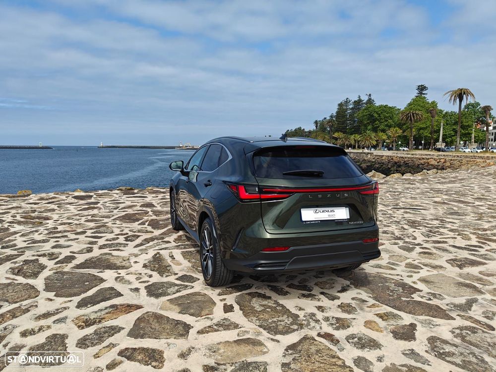 Lexus NX 450h+ Luxury - 10