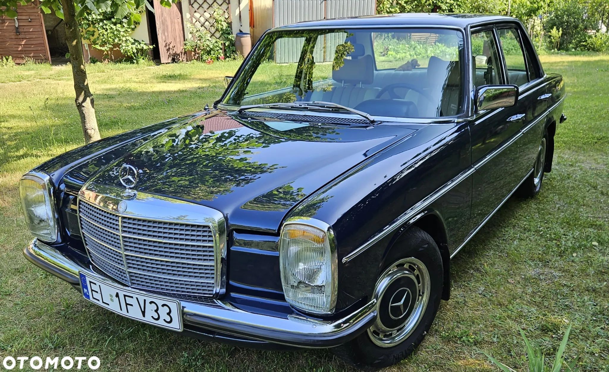 Mercedes-Benz Inny - 1