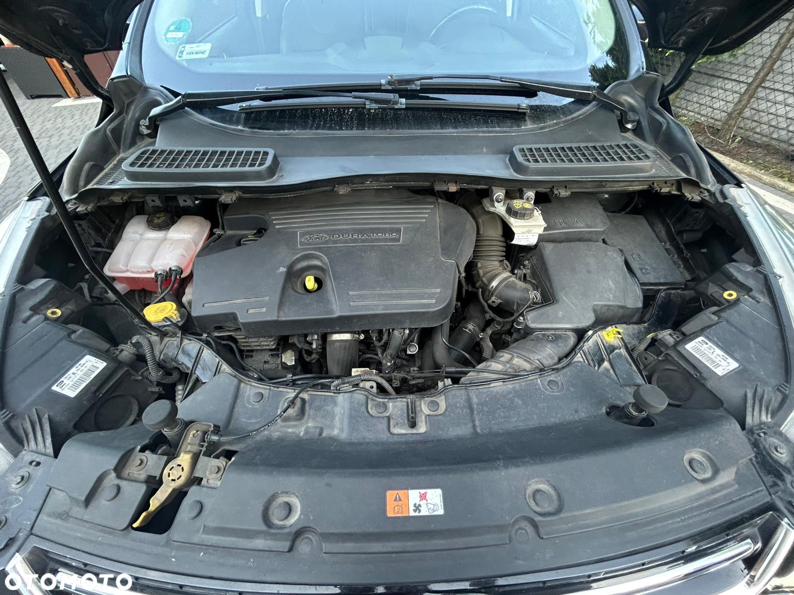 Ford Kuga - 10