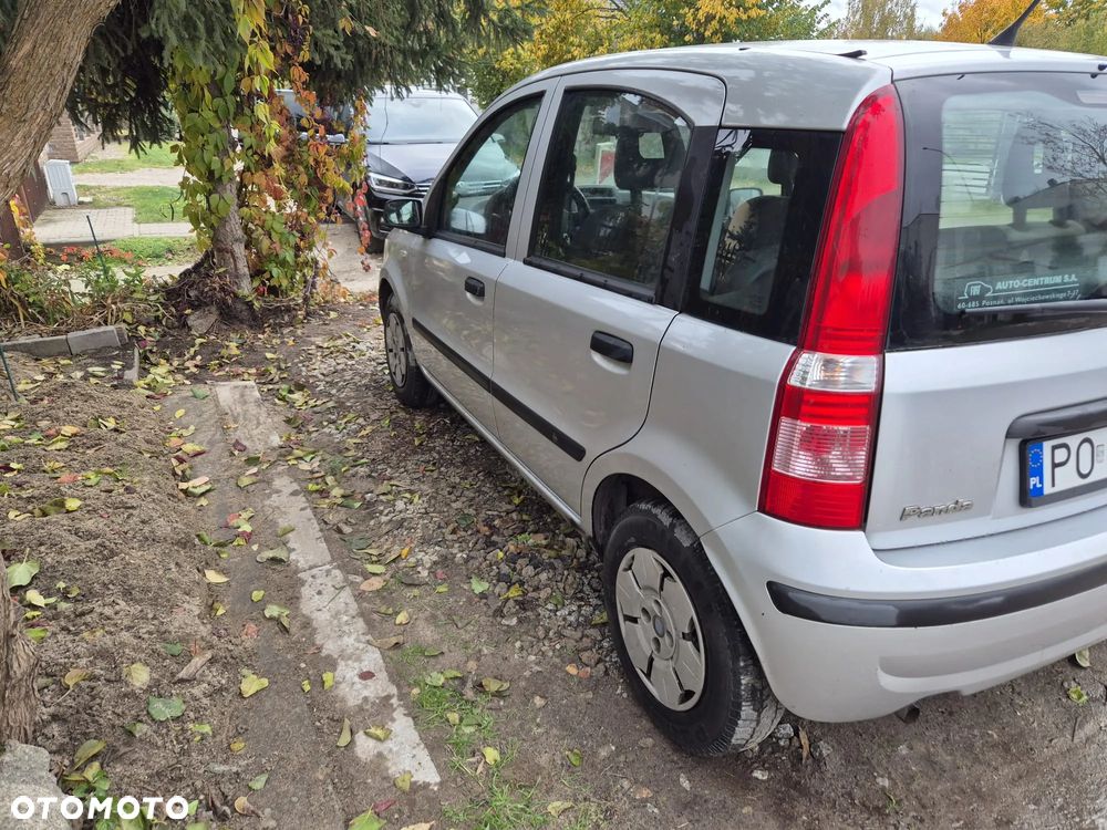 Fiat Panda - 6