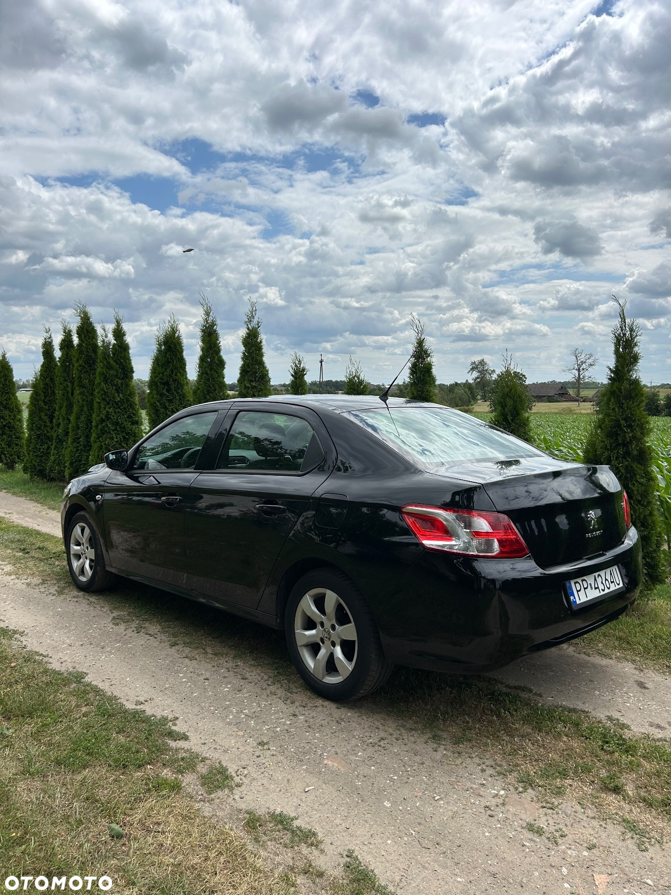 Peugeot 301 1.2 Pure Tech Active - 6