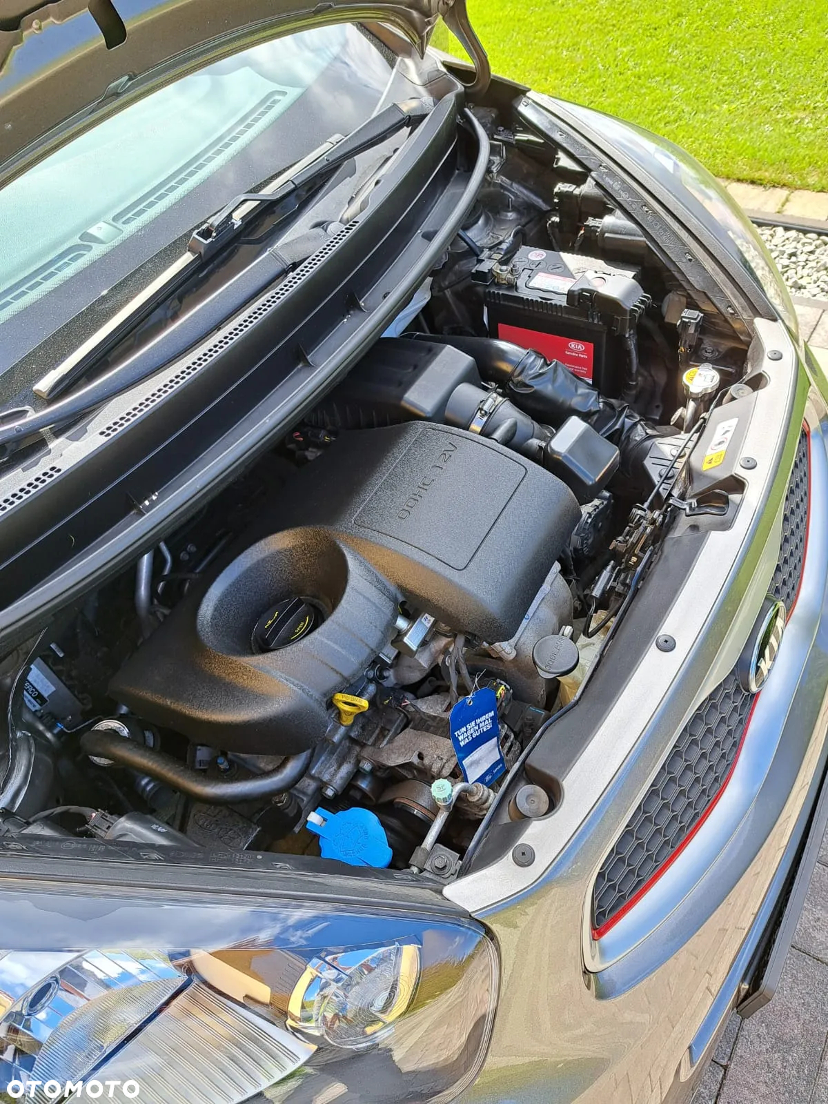 Kia Picanto - 10