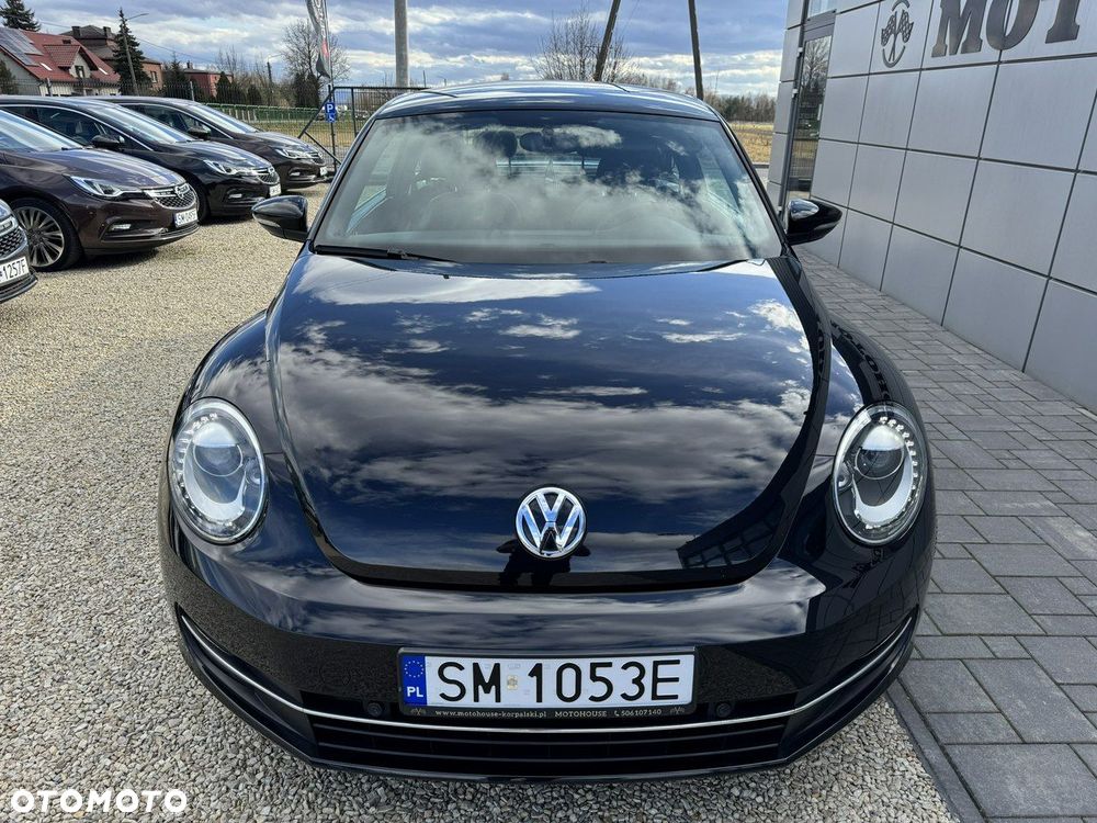 Volkswagen Beetle - 5