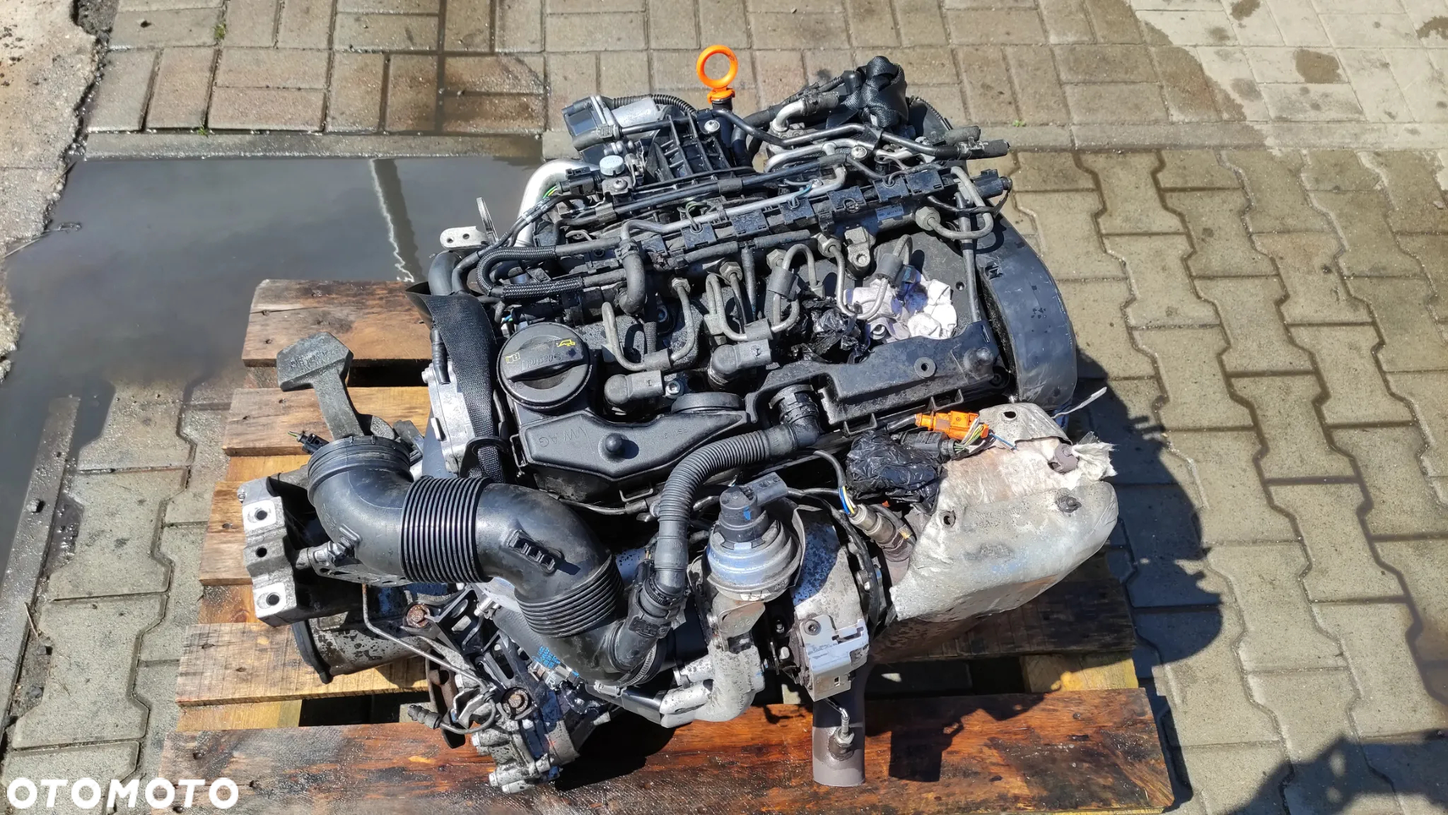 Silnik VW Caddy Audi 1.6 diesel kod: CAYD - 15