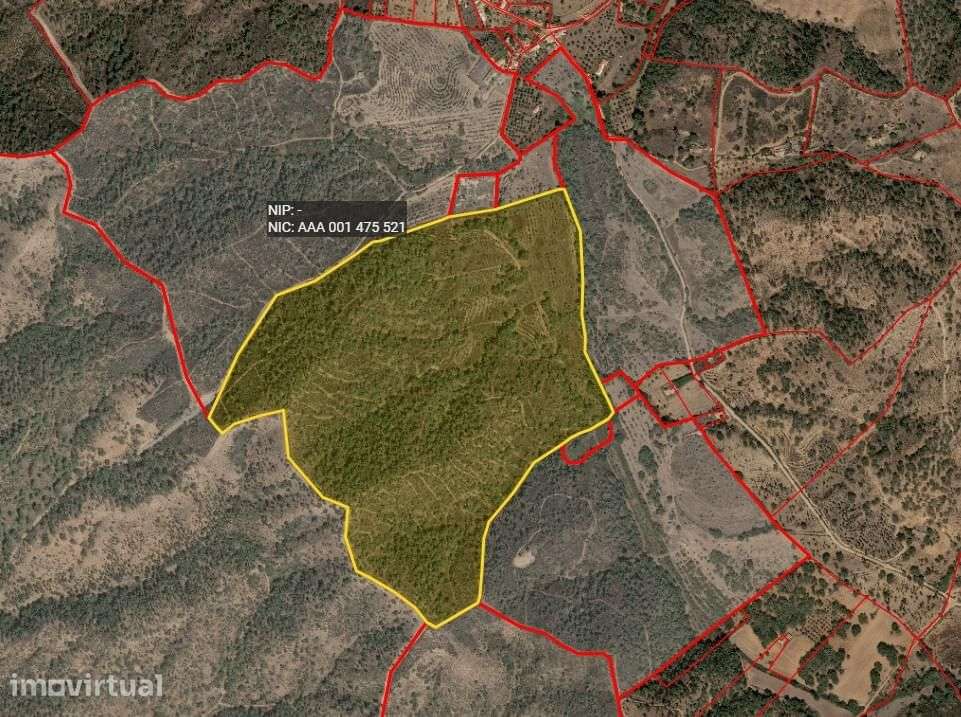Terreno Misto 4.0 ha, Colos, Odemira - Grande imagem: 5/5