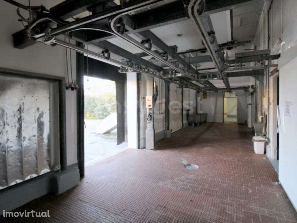 Matadouro Bovino - Grande imagem: 5/25