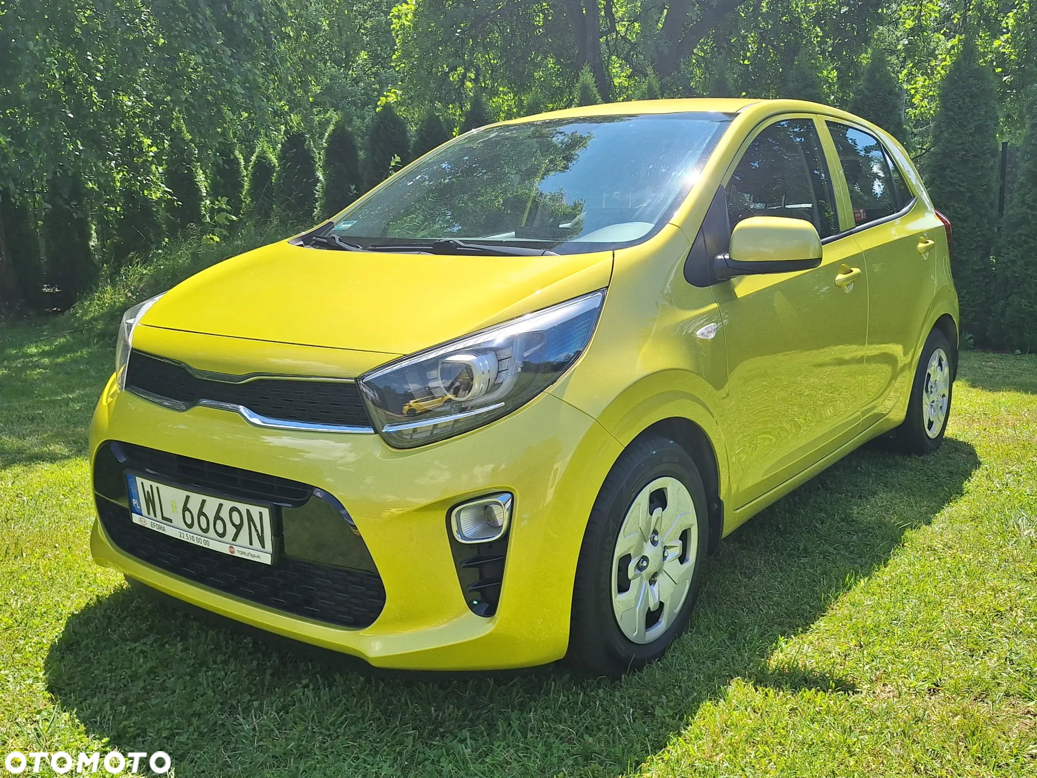 Kia Picanto 1.2 L - 3