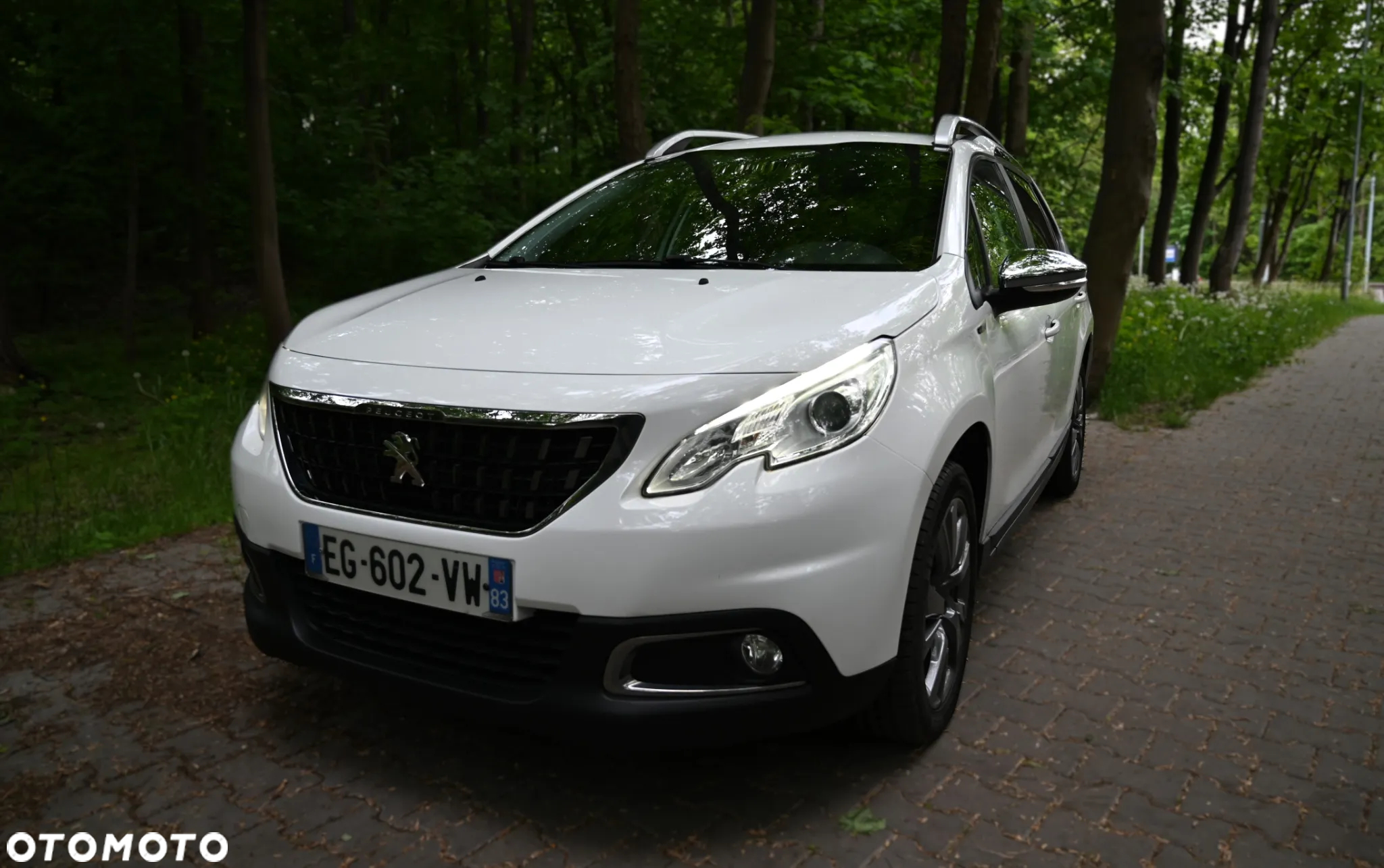 Peugeot 2008 1.6 BlueHDi Active - 13