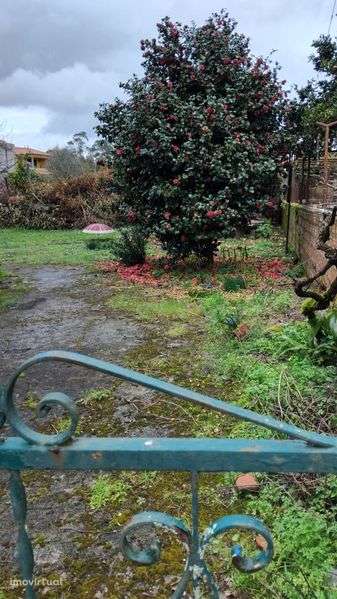 Vende  moradia bem localizada estrada principal - Grande imagem: 4/12