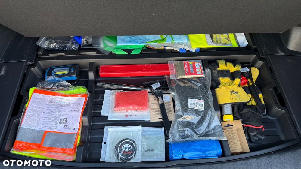 Toyota RAV4 2.5 Hybrid Executive 4x2 - 29