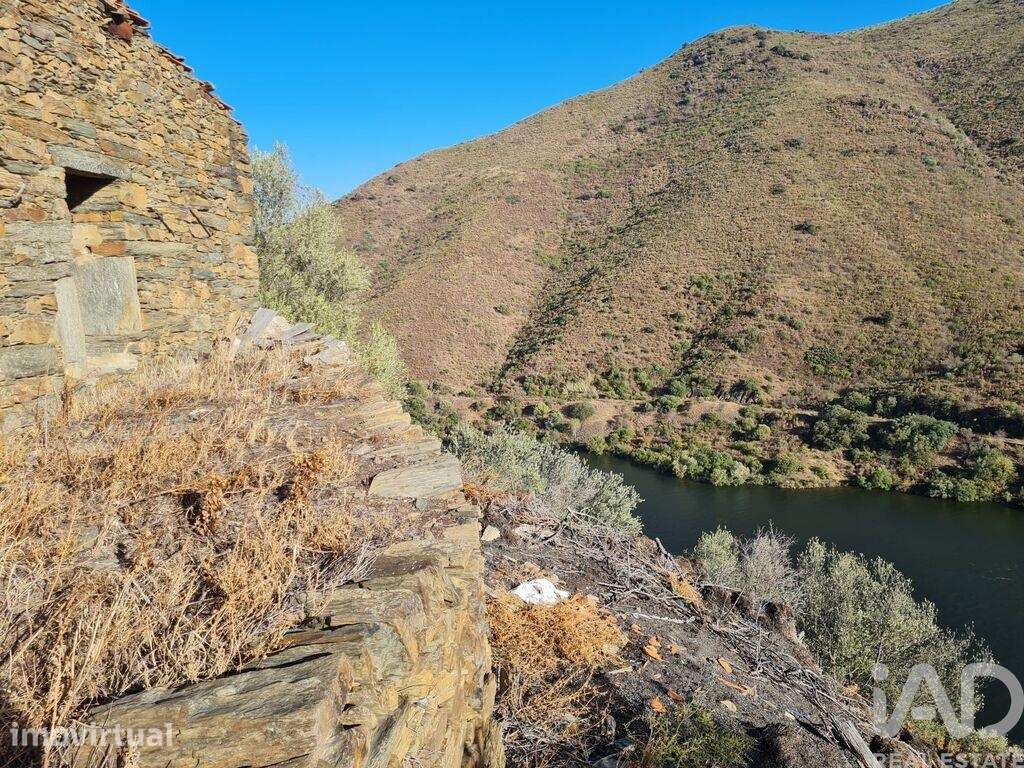Terreno Agrícola em Urros e Peredo dos Castelhanos - Grande imagem: 3/11