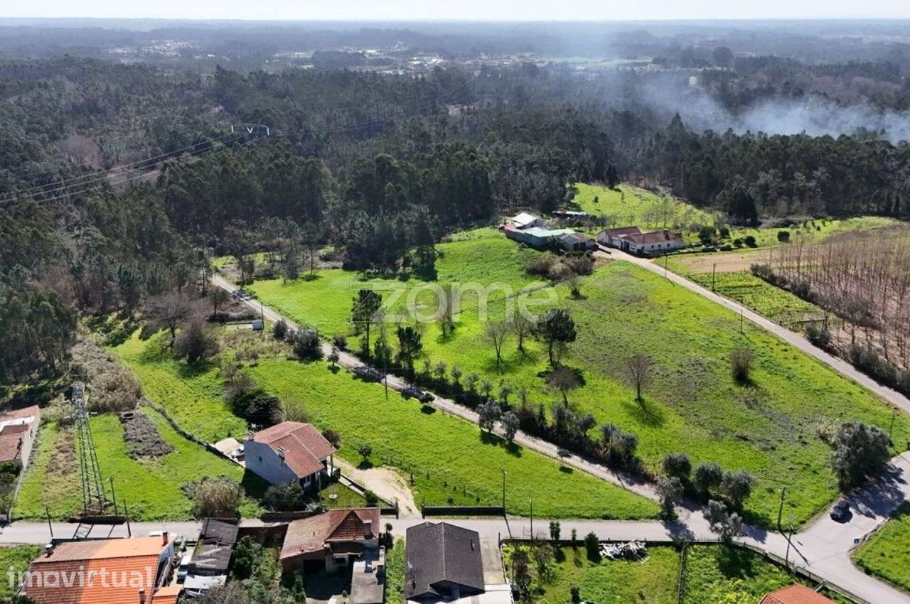 Terreno com 1.240 m² | Rua dos Fornos | Bustos | Oliveira do Bairro - Grande imagem: 5/17
