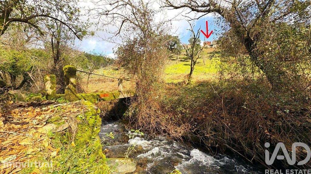 Casa / Villa T3 em Campelo de 134,00 m2 - Grande imagem: 3/27