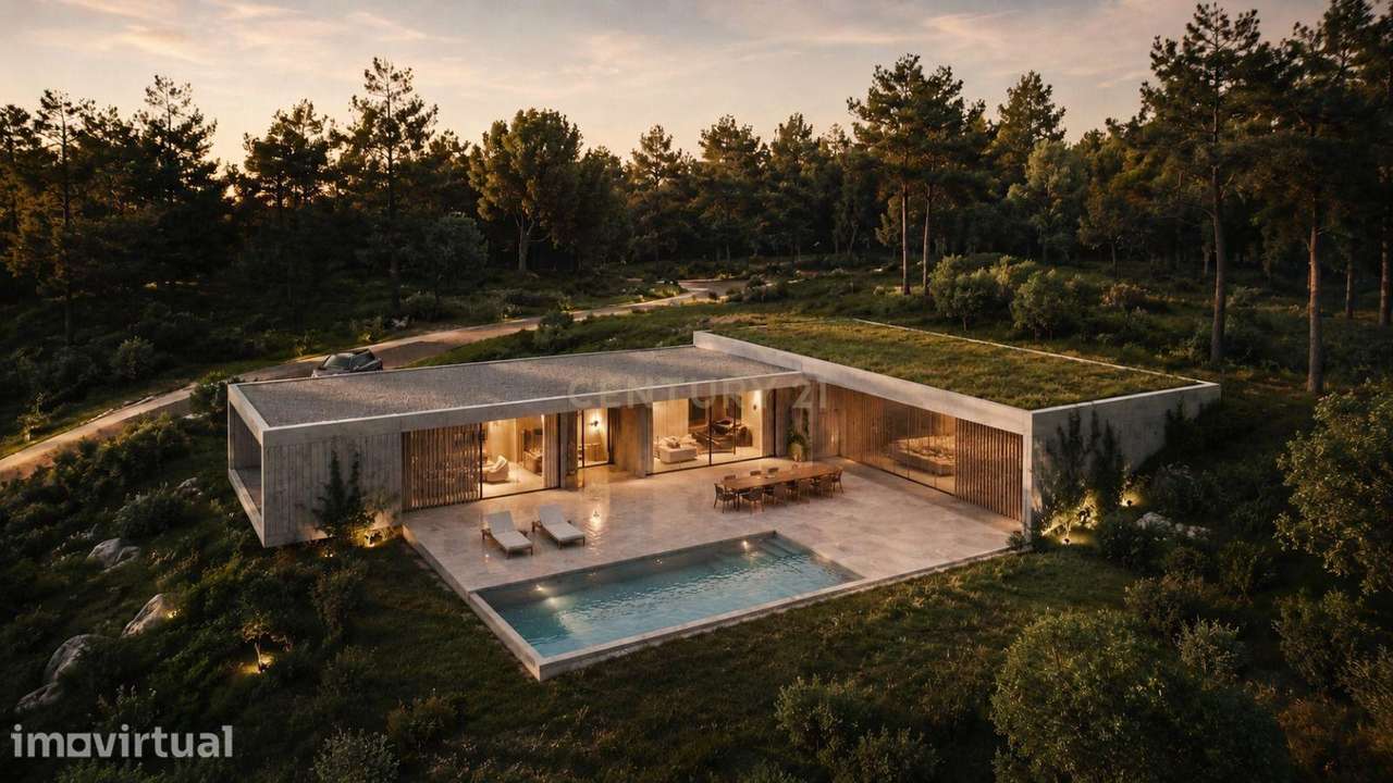 Terreno com PIP Aprovado | 22.523 m² | Resende – Viseu - Grande imagem: 3/15