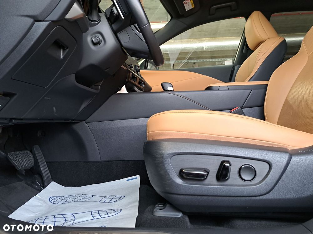 Lexus RX - 11