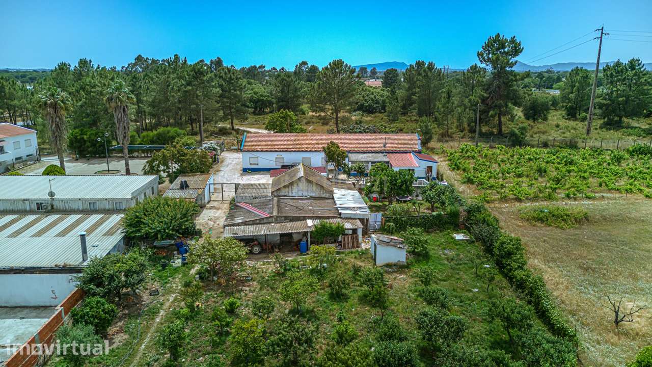 Encantadora Quinta em Palmela com 5200m2 e 196m2 privativos - Grande imagem: 5/40