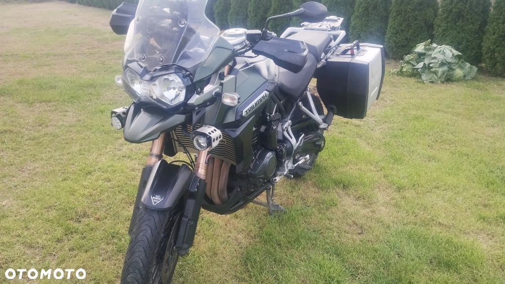 Triumph Tiger - 16