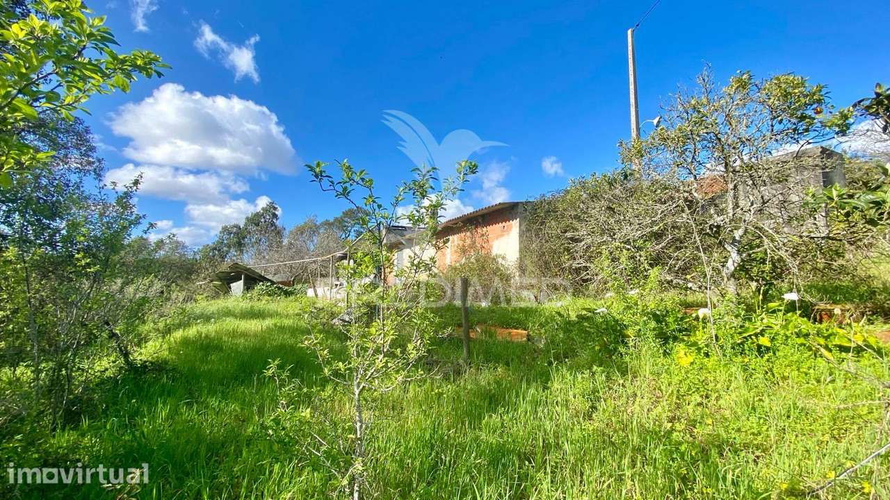 Casa antiga em Rio Maior - Grande imagem: 4/8