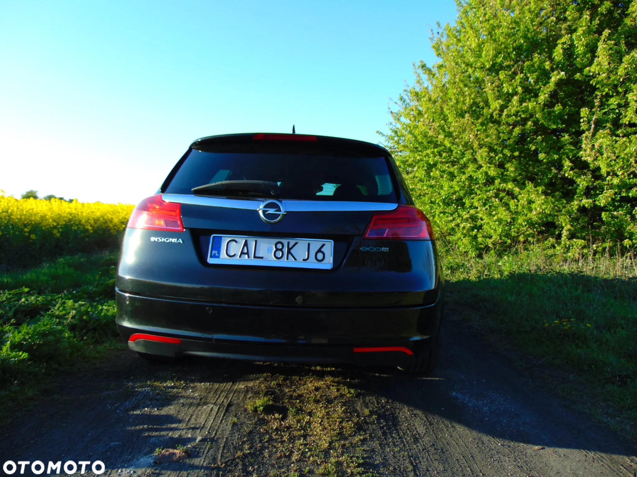 Opel Insignia 2.0 CDTI Sports Tourer ecoFLEX Cosmo - 14