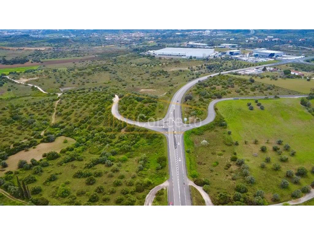 Terreno Rustico | Torres Novas - Zibreira - Grande imagem: 5/16