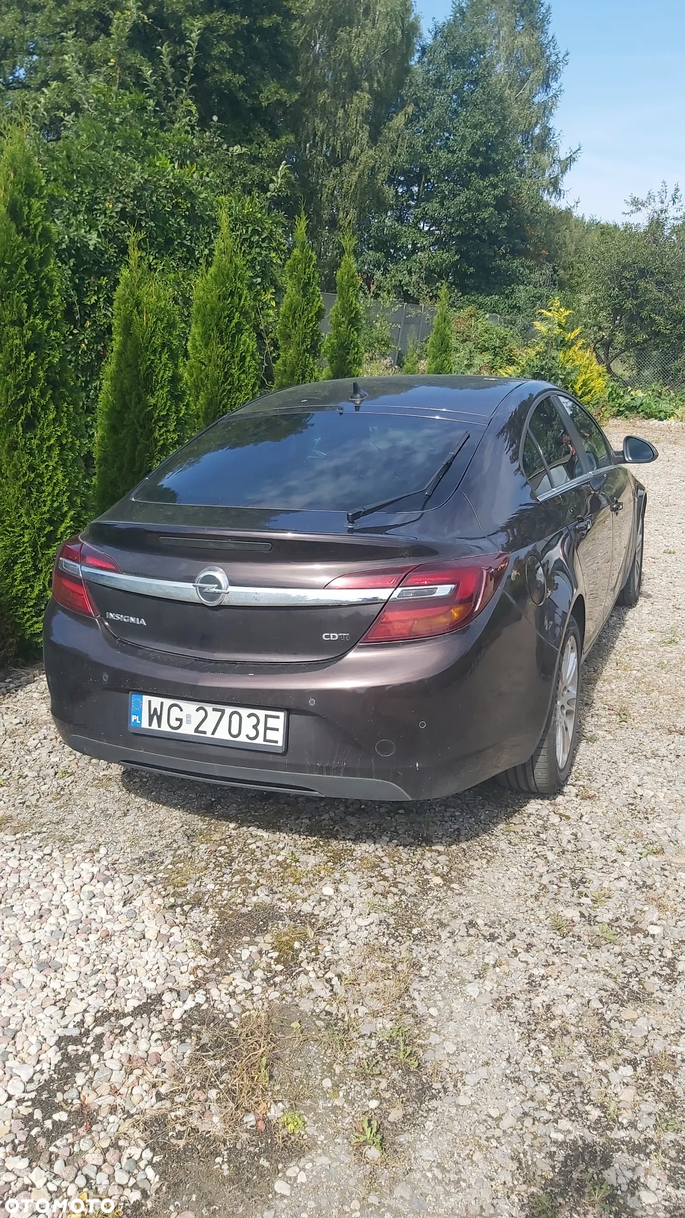 Opel Insignia 2.0 CDTI Cosmo S&S - 7