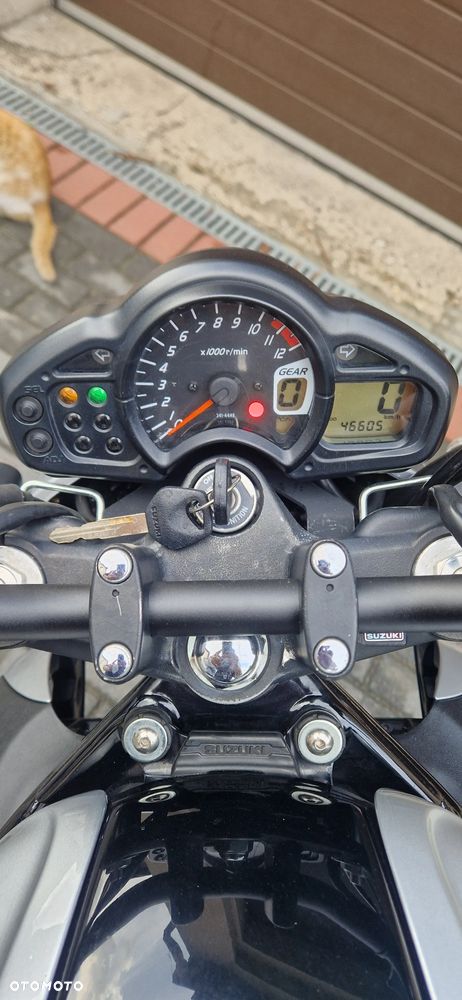 Suzuki Gladius - 19