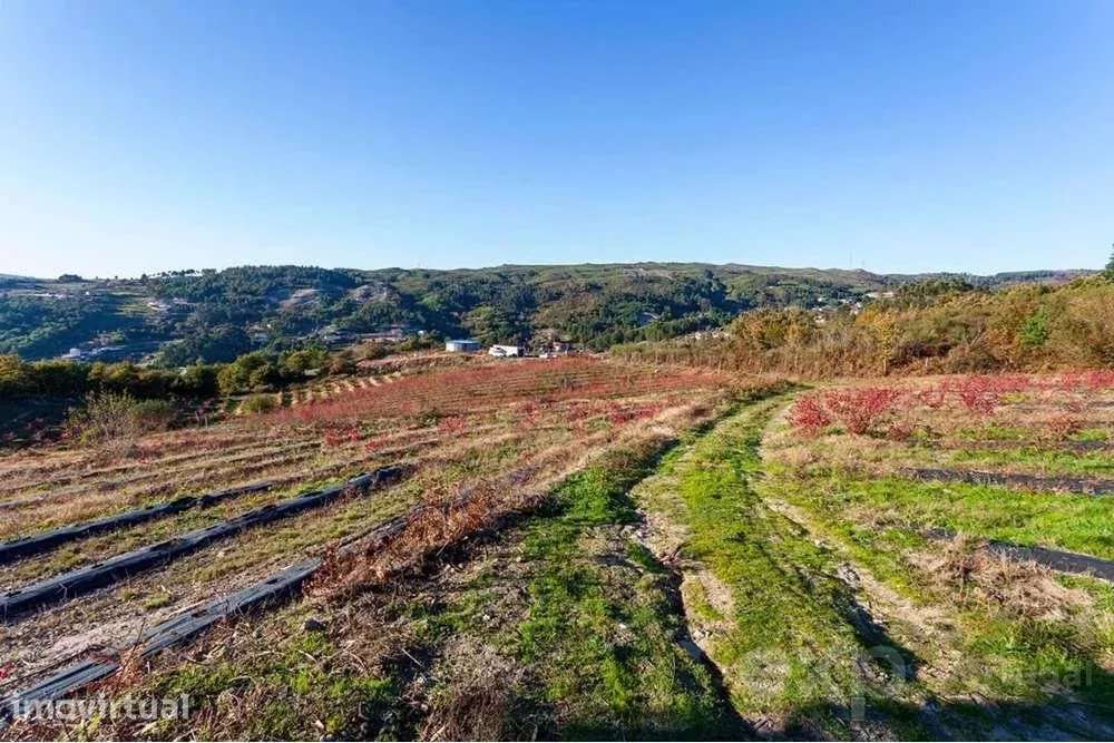 Quinta do Tapado Novo - Baião - Grande imagem: 4/16
