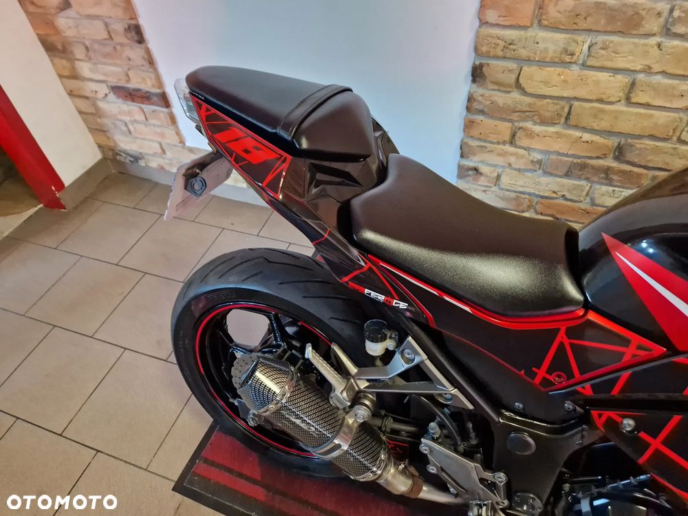 Kawasaki Ninja 300 ABS - 27
