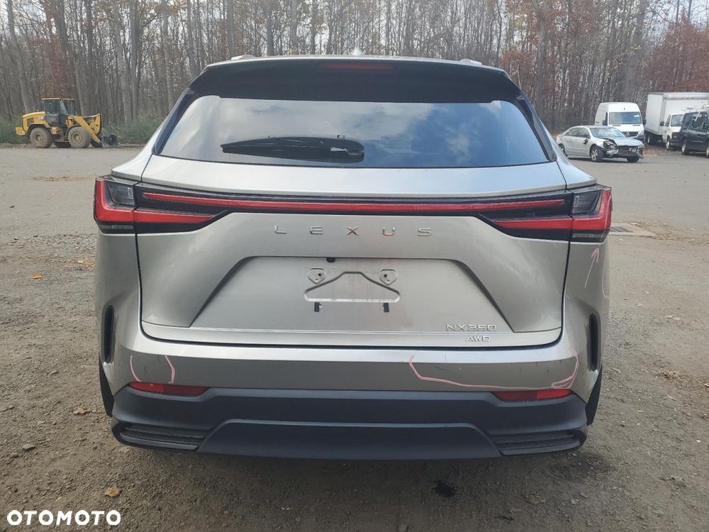 Lexus NX 300 AWD Luxury Line - 6