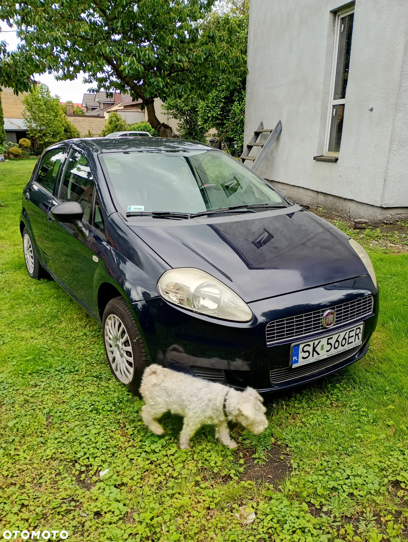 Fiat Grande Punto 1.2 8V Active - 2