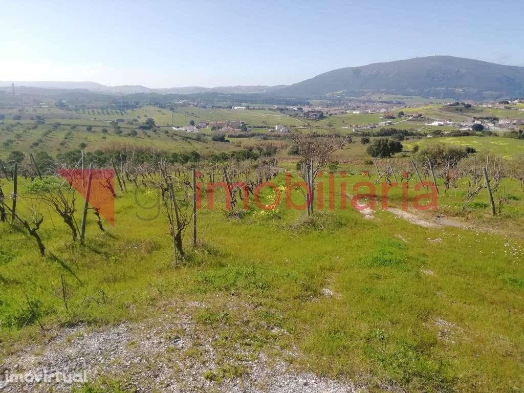 Terreno com Moinho - Grande imagem: 4/7