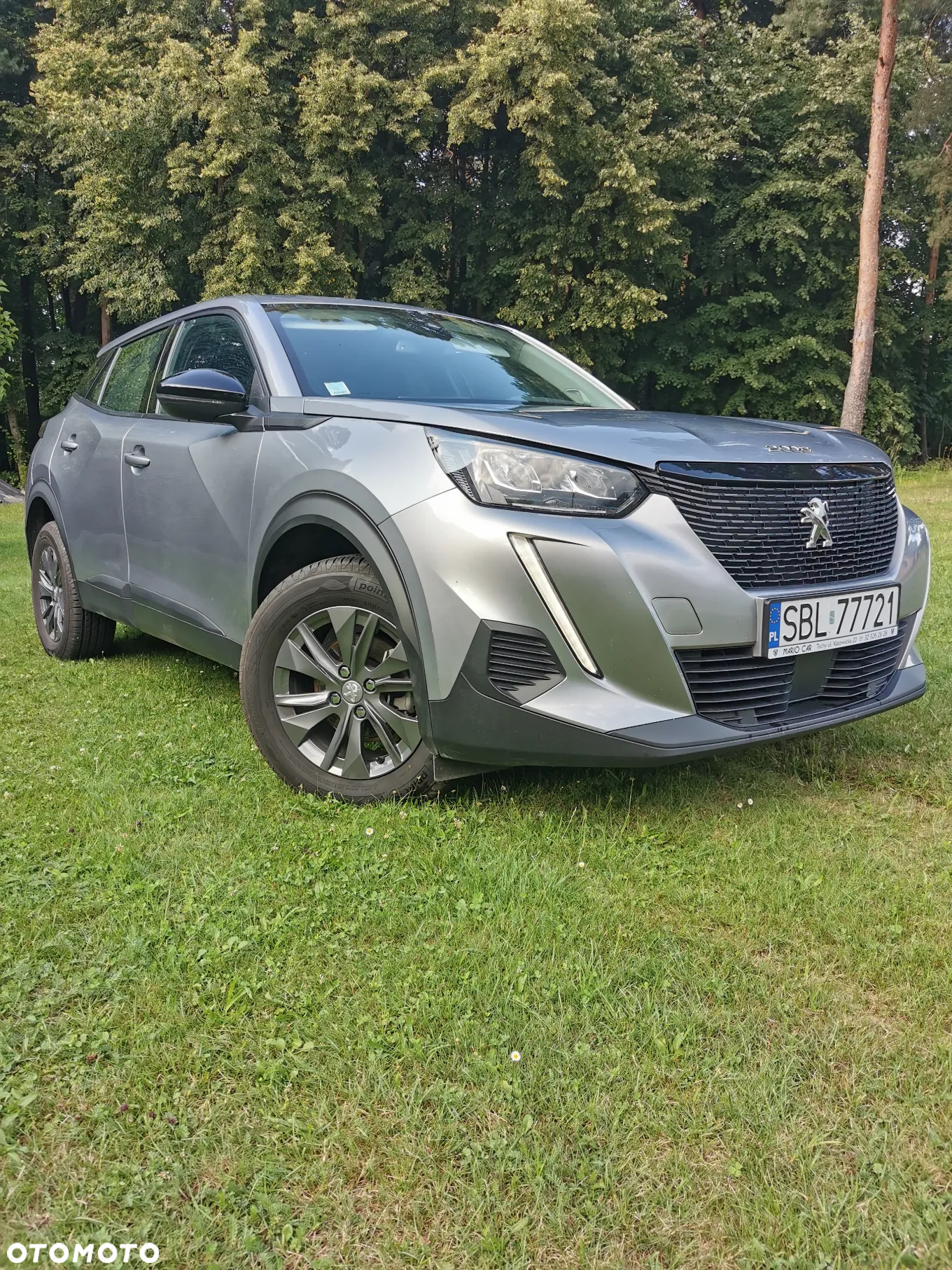 Peugeot 2008 PureTech 100 Active - 2