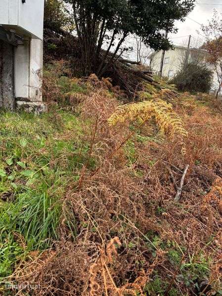 Terreno urbanizável  em Rio Frio - Grande imagem: 3/3
