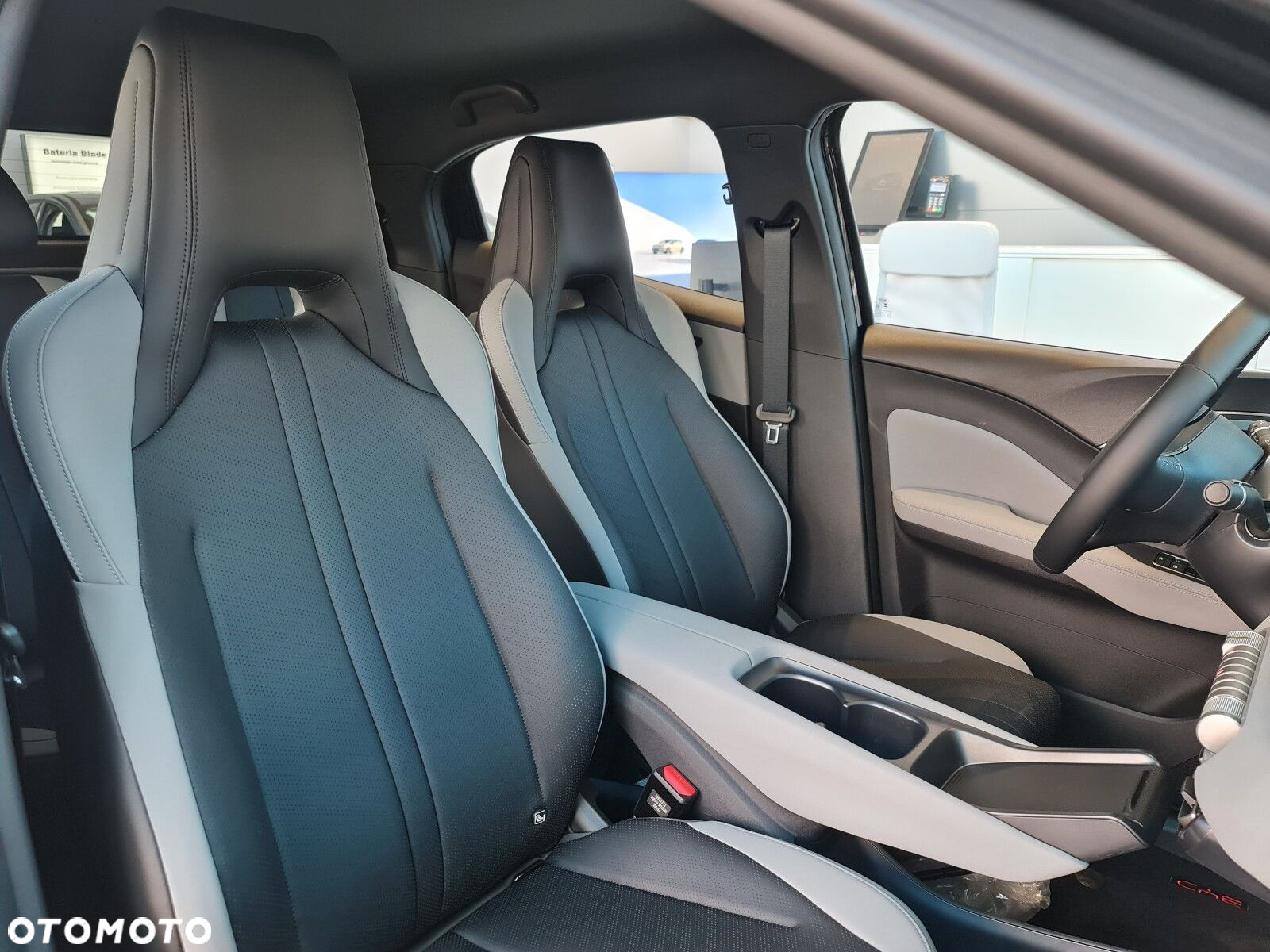 BYD Dolphin Surf - 18