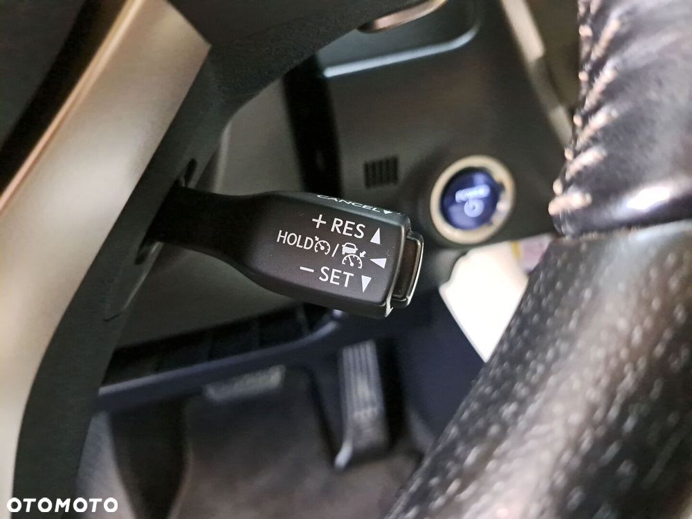 Lexus RX 450h F-Impression - 38