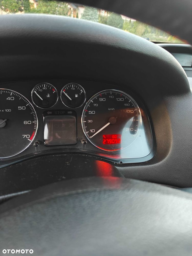 Peugeot 307 - 7
