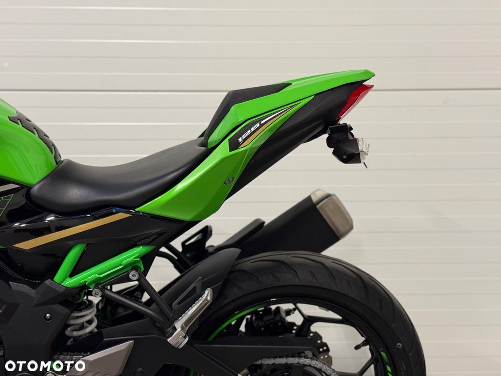 Kawasaki Ninja - 33