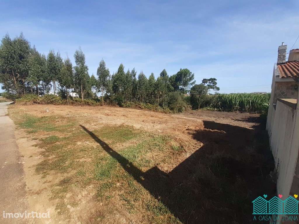 Terreno rústico em Aradas - Grande imagem: 3/4